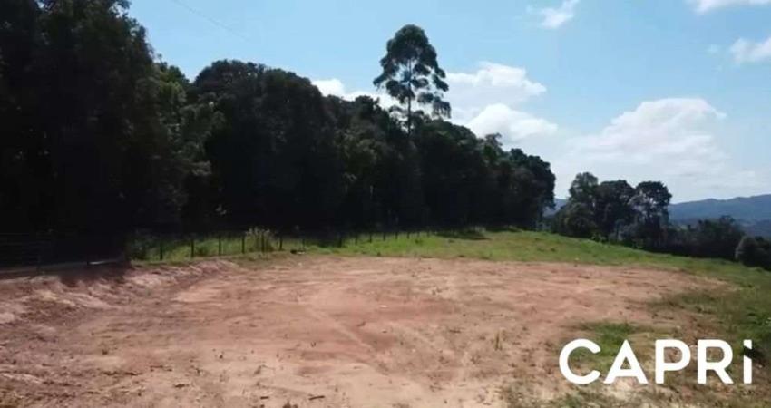 Chácara / sítio à venda na Batista Sabim, 100, Itaqui de Cima, Campo Largo