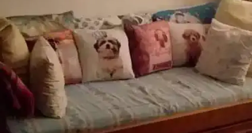 Apartamento com 1 quarto à venda na Aclimação, São Paulo 