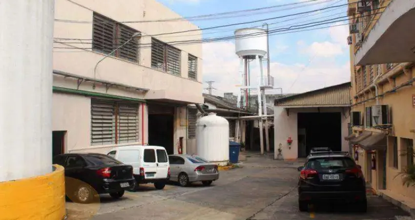 COMERCIAL à venda, 20 vagas, Vila Ribeiro de Barros - São Paulo/SP