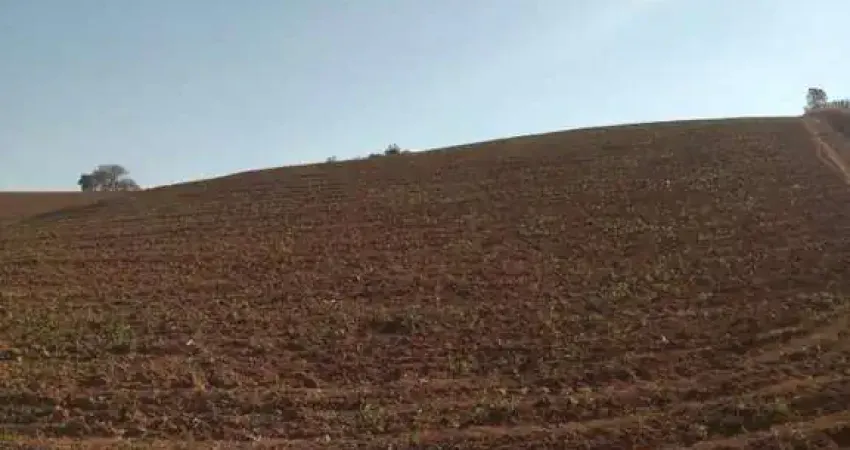 Chácara / sítio à venda na RURAL, Zona Rural, Bueno Brandão