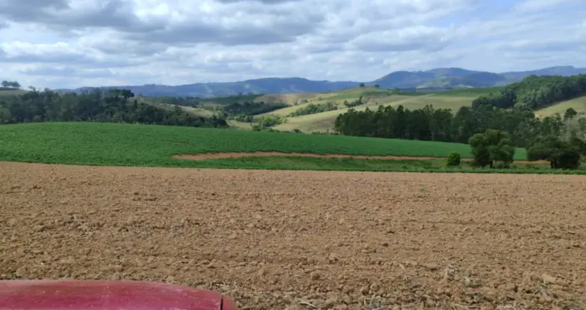 Chácara / sítio com 1 quarto à venda na Rua Inácio Rodrigues Damásio, Zona Rural, Itobi