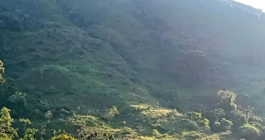 Fazenda à venda na Rua Assis Figueiredo, Centro, Poços de Caldas