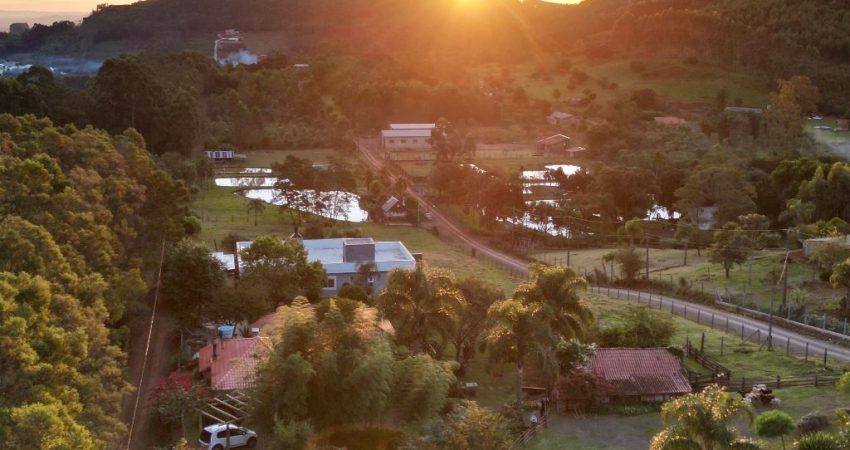 Chácara / sítio com 4 quartos à venda na Rodovia BR 116, Centro, Morro Reuter