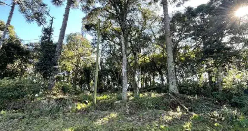 Terreno à venda na Bela Vista, Caxias do Sul 