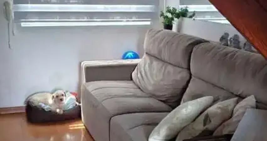 Casa com 2 quartos à venda na Cidade Nova, Caxias do Sul