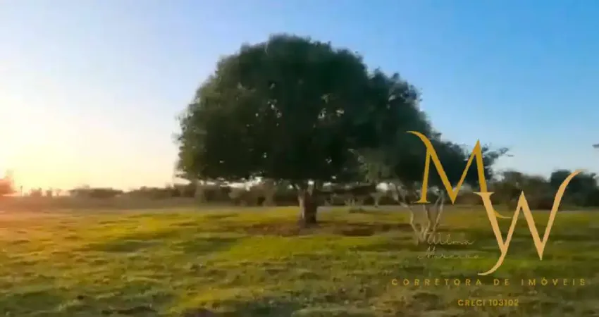 Fazenda à venda com 130.000 m² – Localização privilegiada.