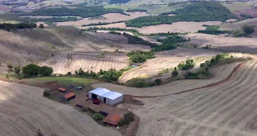 Fazenda à venda na Estrada Sebastião Passa, 1, Área Rural de Apucarana, Apucarana