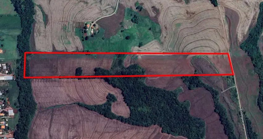 Chácara / sítio à venda na Rua Rural 1, Loteamento São Sebastião, Apucarana