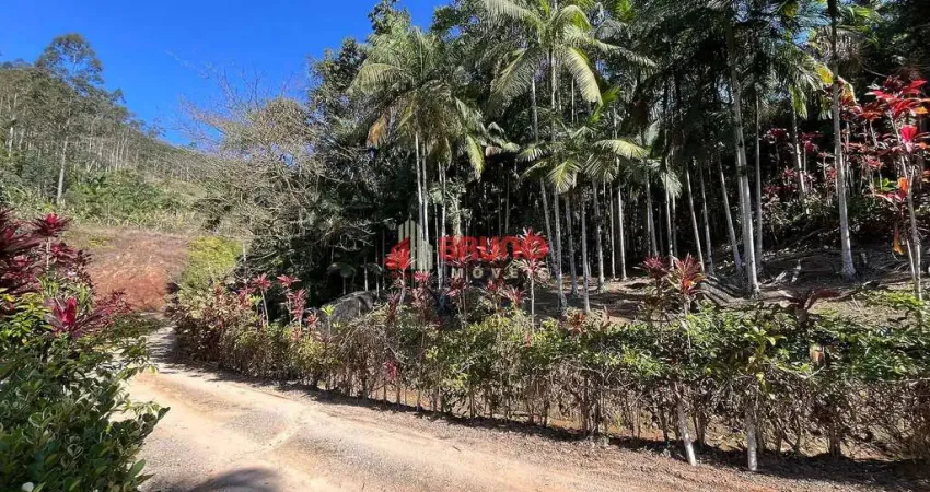 Chácara / sítio à venda na Rua João Pedro Koerich, Louro, Antônio Carlos