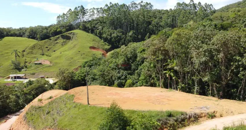 Chácara / sítio à venda na Rua Silvestre Pitz, 1, Morro da Glória, Antônio Carlos