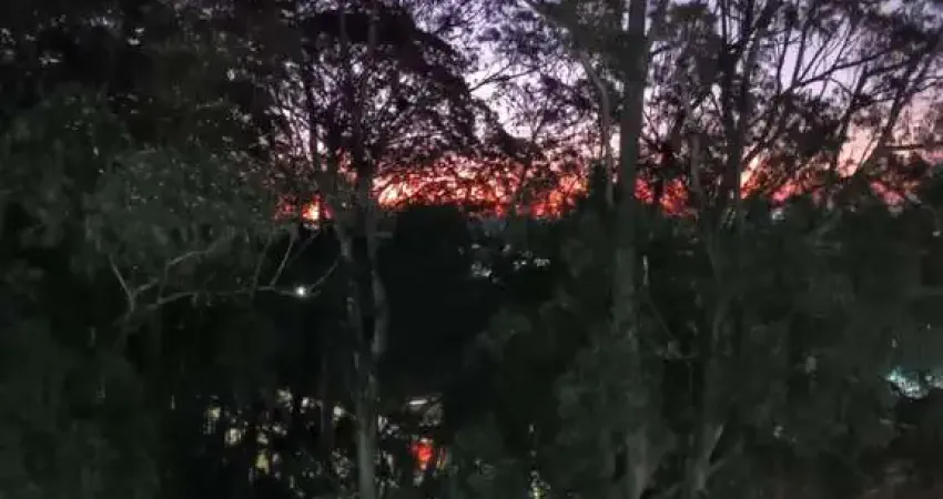 Apartamento com 3 quartos à venda no Planalto, São Bernardo do Campo