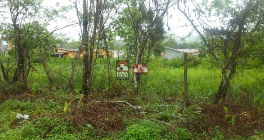 Terreno à venda na Avenida Luiz Saito, Terreno, S/N, Massaguaçu, Caraguatatuba