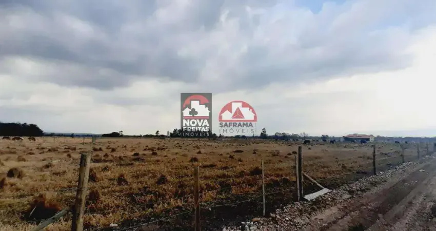 Terreno à venda na Estrada Municipal Jorge Emilio Vieira, Sítio Bom Jesus, Cruz Grande, Pindamonhangaba