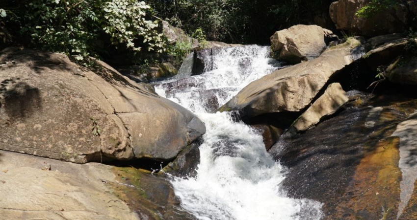 Chácara / sítio com 3 quartos à venda na Zona Rural, Inhumas 