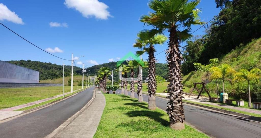 Terreno à venda na Avenida Pref. Alberto Natalino Miquelute, 6350, Itinga, Araquari