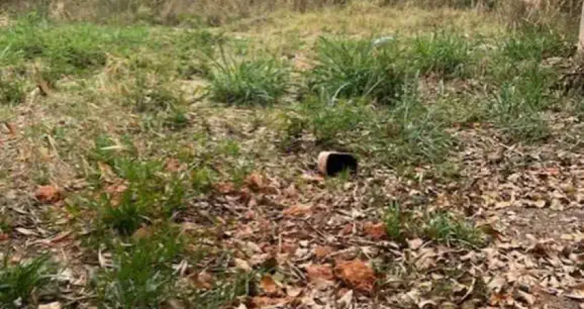 Venda de terreno misto 309 m² com frente para av. presidente vagas indaiatuba sp ótimo local para galpao com acesso fácil à sp75 !!