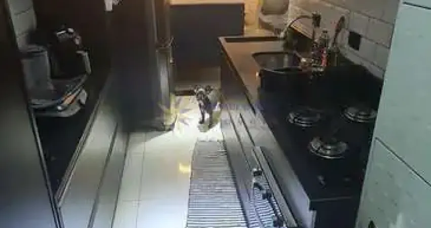 Apartamento 02 Dorm. em Chácara Califórnia  -  São Paulo