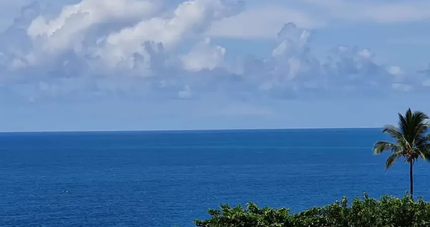 Apartamento com 1 quarto para alugar em Ondina, Salvador 