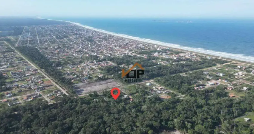 Terreno à venda, 375 m² por r$ 99.000 - praia do ervino - são francisco do sul/sc