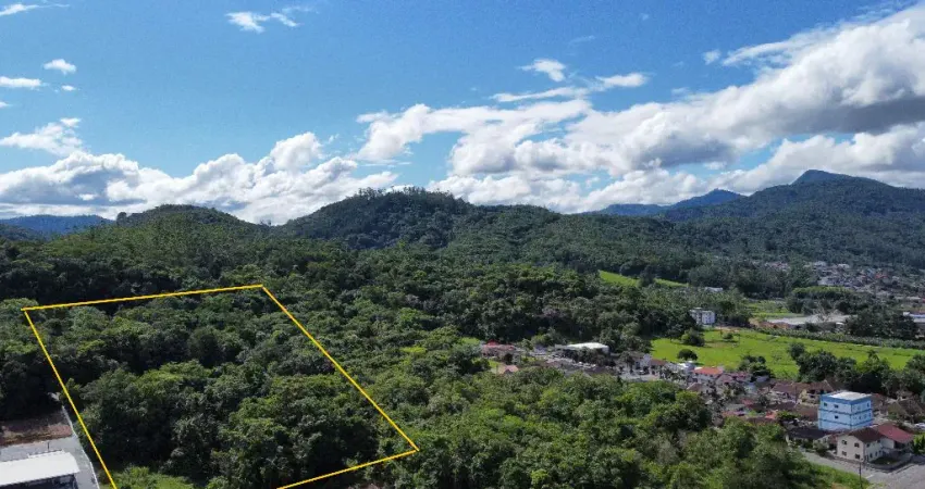 Terreno plano no centro para investidor 9700m²