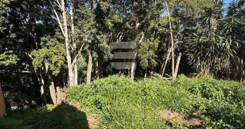 Terreno à venda, 550 m² por R$ 300.000,00 - Braunes - Nova Friburgo/RJ