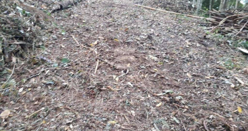 Ótimo terreno de 2231 mts²  no centro da cidade, perto de comércios locais