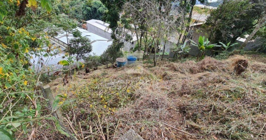 Terreno à venda, 390 m² por R$ 250.000 - Cônego - Nova Friburgo/RJ