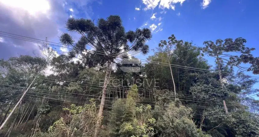 Terreno à venda no Mury, Nova Friburgo 