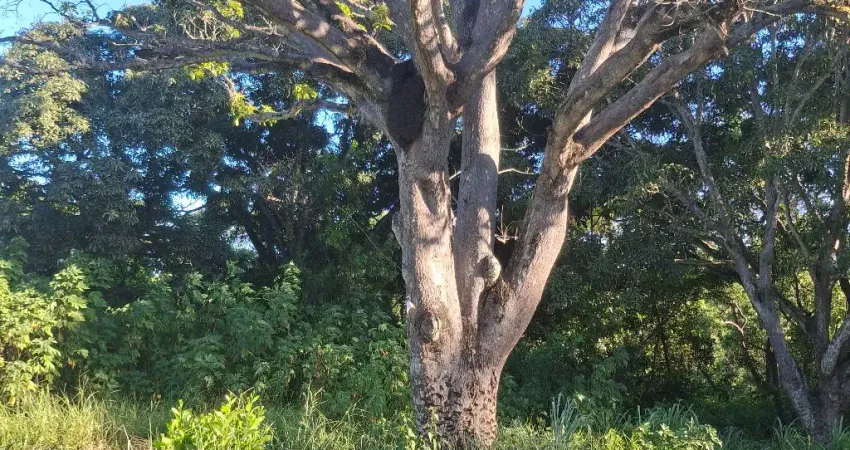 Terreno em jacaraipe.