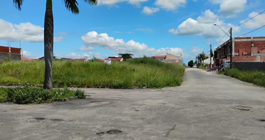 Lote no solar do porto