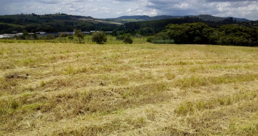 Terreno  com 5.000 m² á venda  Bairro Pedreira,cod:70