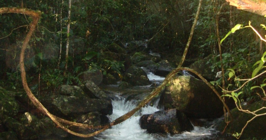 Linda Fazenda na região de Paulo Lopes