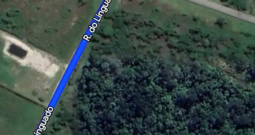 Terreno à venda na Rua Geral do Forte, Praia do Ervino, São Francisco do Sul