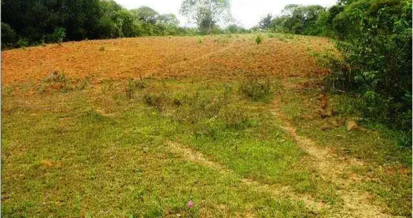Sítio para Venda em Camaçari, Vila de Abrantes (Abrantes)