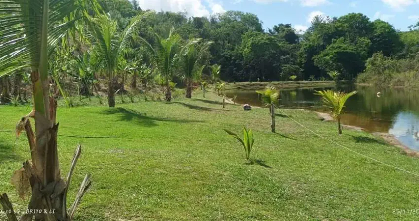 Sítio para Venda em Mata de São João, Curralinho, 2 dormitórios, 1 banheiro