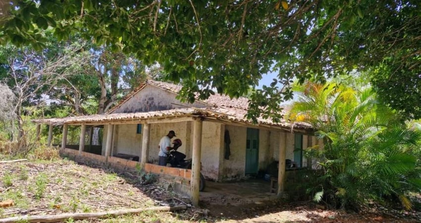 Fazenda à venda no Açu da Torre, Mata de São João 