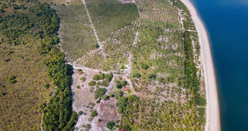 Terreno para Venda em Cairu, Centro