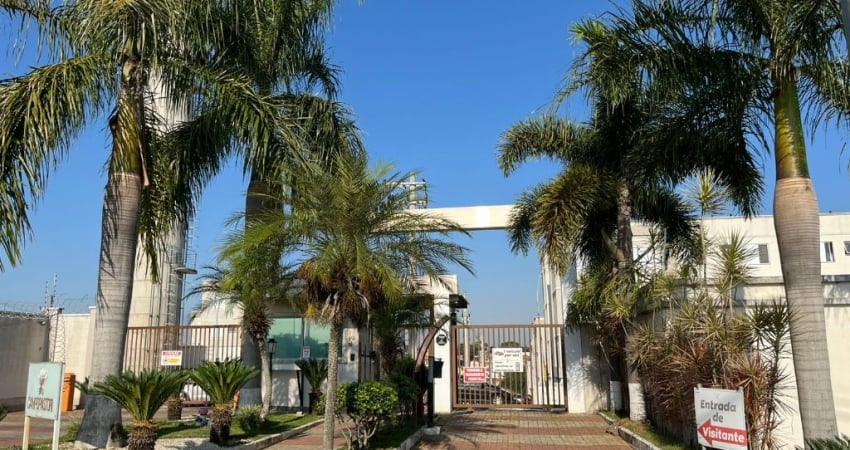 lindo apartamento de 2 dorms, prontinho para voce morar