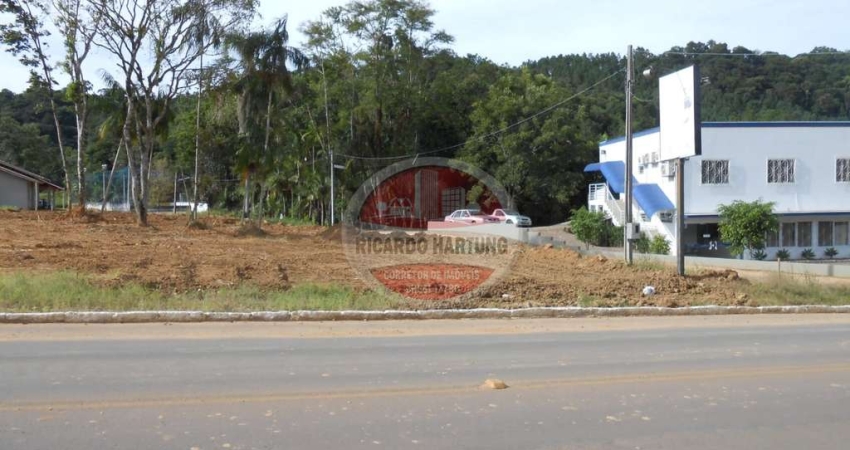 Terreno comercial à venda na Bela Vista, Ibirama 