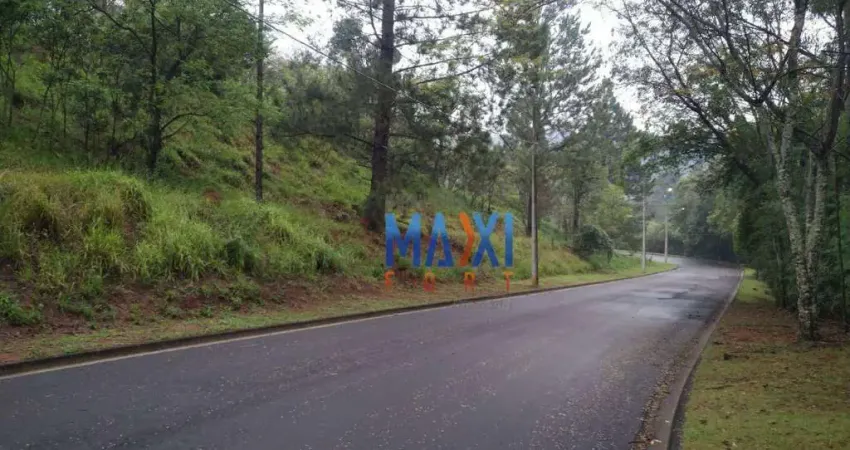 Terreno à venda, 1457 m² por R$ 480.000,00 - Joaquim Egídio - Campinas/SP