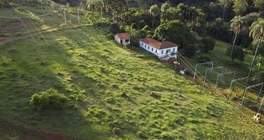 Fazenda com 3 dormitórios à venda, 430000 m² por R$ 1.850.000,00 - Souza - Rio Manso/MG