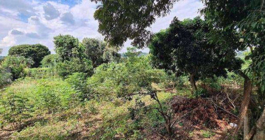 Terreno Residencial à venda, Pinheirinho, Vinhedo - TE0593.