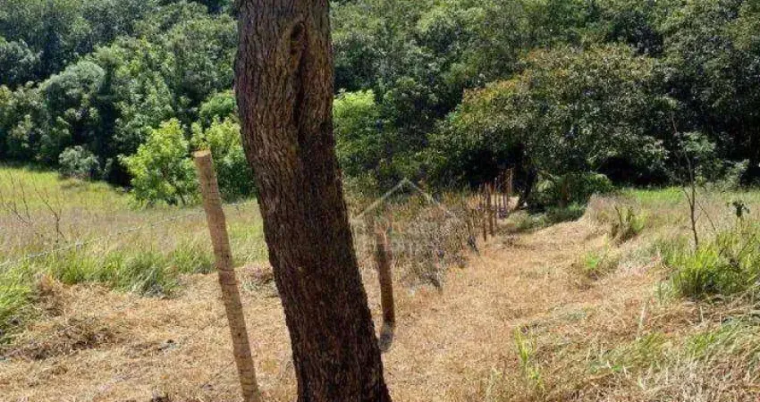 Área Comercial à venda, Quintas de Maria Elvira, Santana de Parnaíba - AR0068.