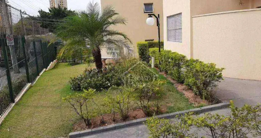 Apartamento Residencial à venda, Vila Sonia, Valinhos - AP1343.