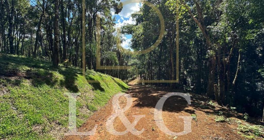 Terreno à venda no Saltinho, Campo Alegre 