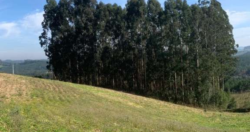 Terreno para Venda em Campo Alegre, Bateias de Cima