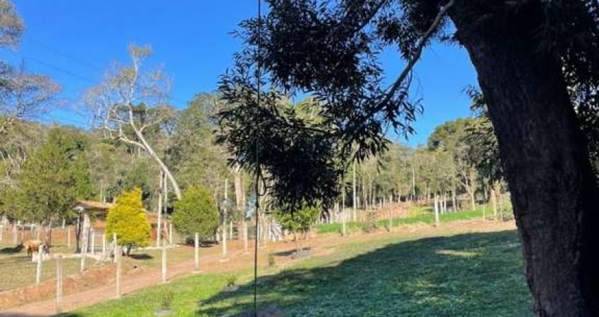 Terreno à venda na Rua Principal Avenquinha, 01, Avenquinha, Campo Alegre