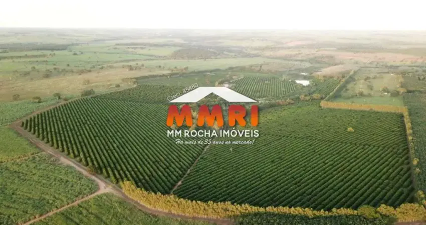 Fazenda à venda no Centro, Marília 