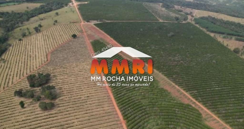 Fazenda de Laranja na região de Itapetininga/SP