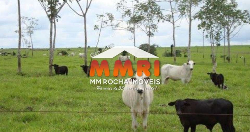 Fazenda à venda na Zona Rural, São Félix do Araguaia 